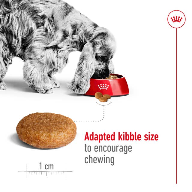 غذای خشک سگ مدیوم ادالت رویال کنین - Royal Canin Medium Adult